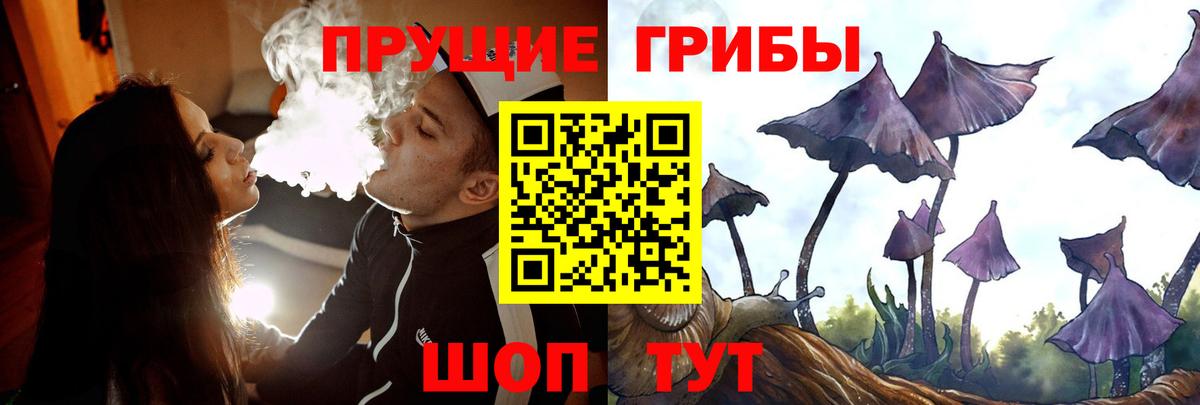 Вичуга  Псилоцибиновые грибы мухоморы  Псилоцибиновые грибы MAGIC MUSHROOMS  Вход с VPN 